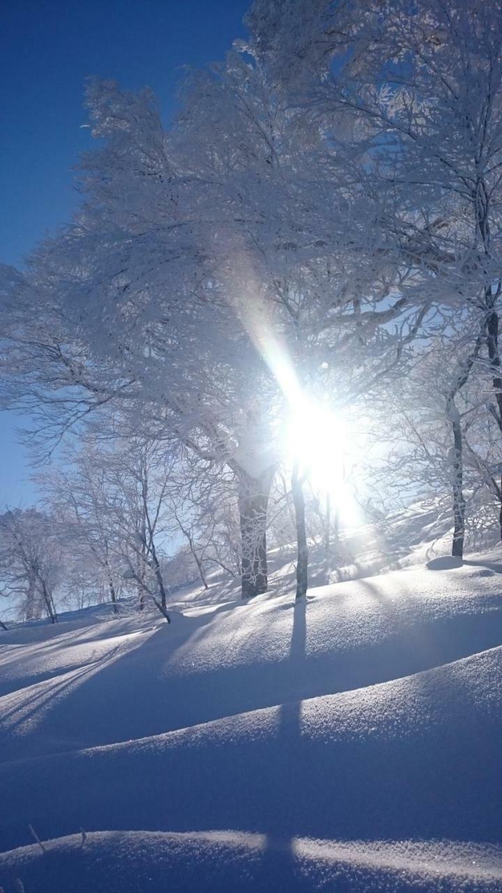 Nozawa Dream Central Εξωτερικό φωτογραφία