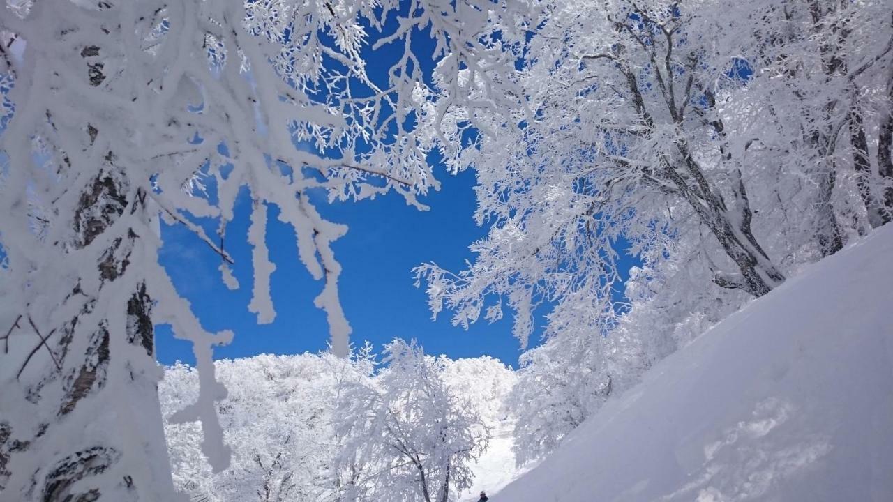 Nozawa Dream Central Εξωτερικό φωτογραφία