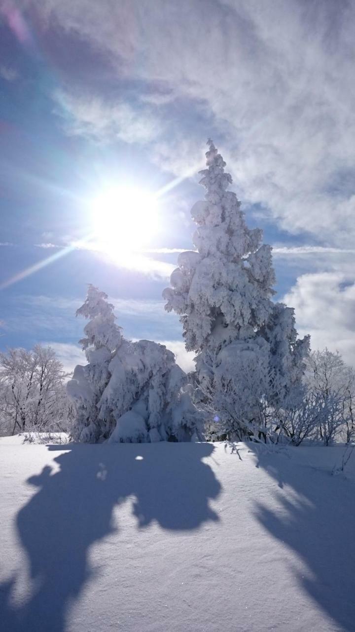 Nozawa Dream Central Εξωτερικό φωτογραφία